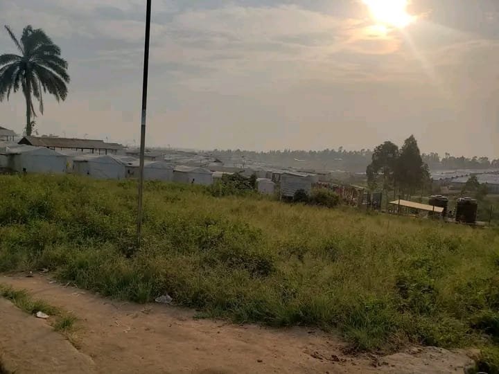 Bunia : site de Kigonze vidée après des incidents entre déplacés et forces de sécurité